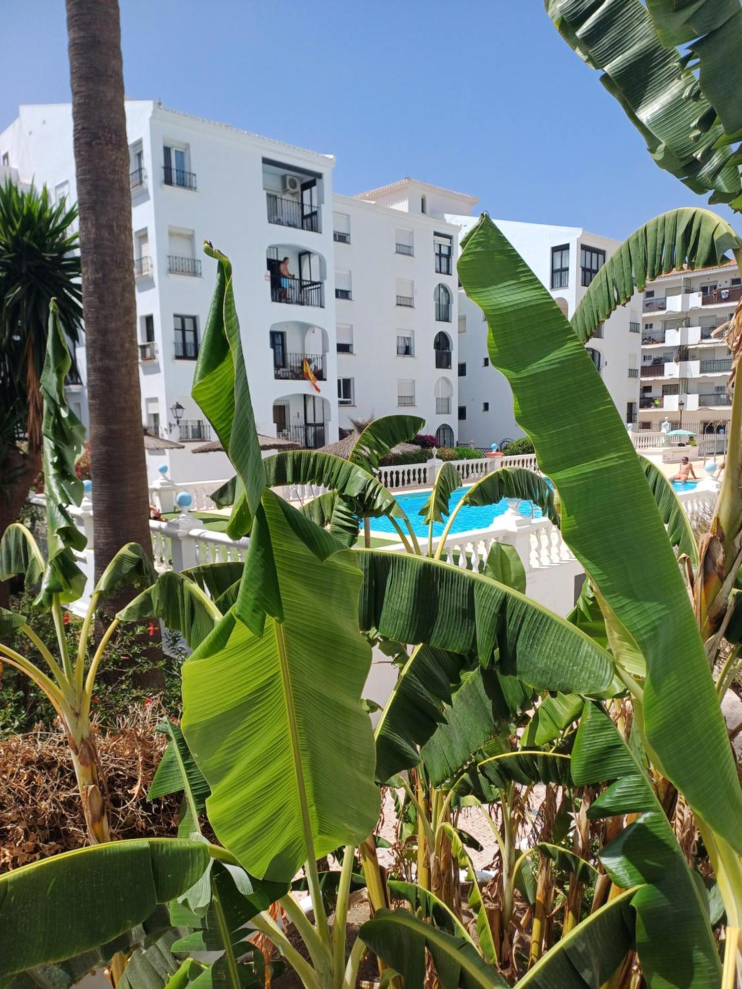 Beautiful Beachfront Newly Renovated 2 Bedroom Apartment With Swimming Pool And Garden ซานลุยส์ เดอ ซาบีนียัส ภายนอก รูปภาพ