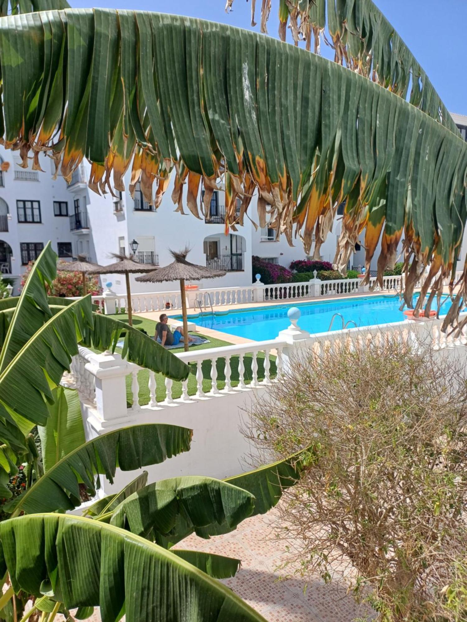 Beautiful Beachfront Newly Renovated 2 Bedroom Apartment With Swimming Pool And Garden ซานลุยส์ เดอ ซาบีนียัส ภายนอก รูปภาพ